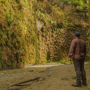 Meet your Posher, Drew